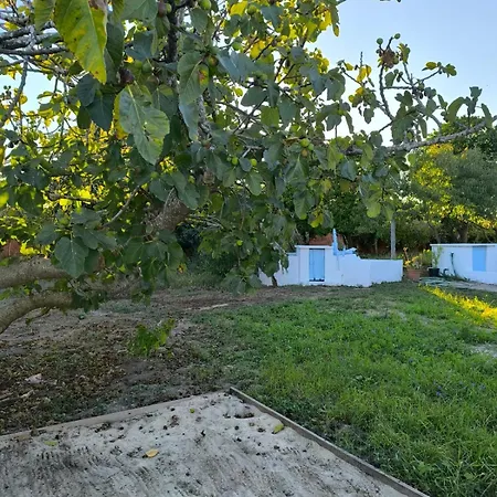 Nyaraló Casa Do Camondo Veiros (Aveiro)