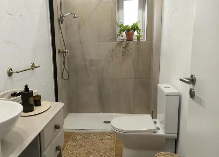 Casa Do Camondo Holiday home Veiros (Aveiro)