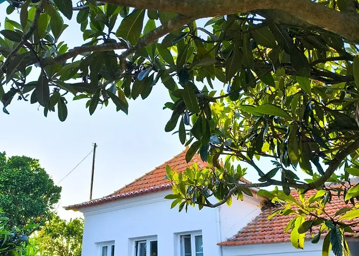 Vakantiehuis Casa Do Camondo